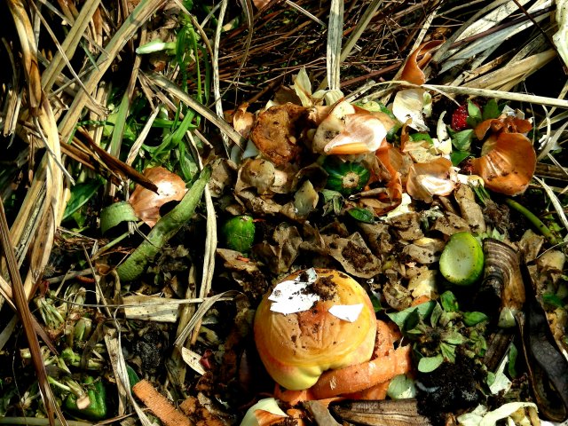 Gartenabfall - Hartmut910@pixelio.de